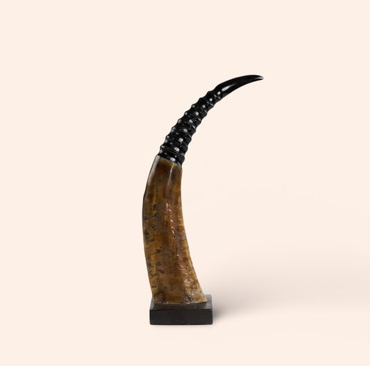 Horn På Trä Ribb 45cm